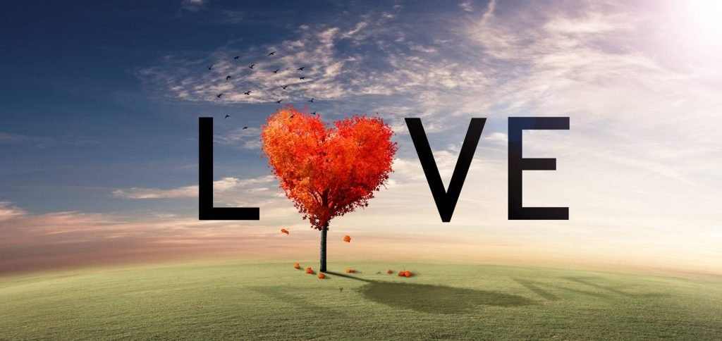 Bible Verses About Love